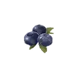 Dragon's Dogma 2 Blueberry.webp