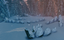 Viking Graveyard (Deep North)