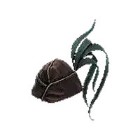 Tail of Simurgh