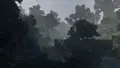 Blackmire