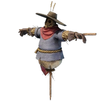 Scare Crow