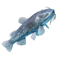 Shockfin