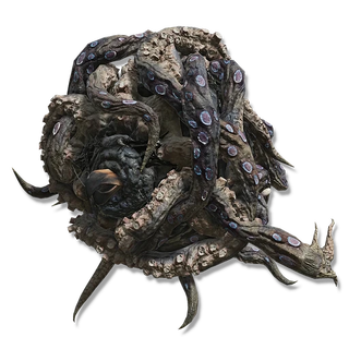 Octopus Head