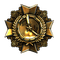 Victor's Order of Lightning