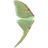 Luna Moth Wing