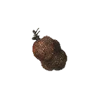 Ripened Princess Harspud