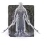 Elden-ring divine-bird-warrior-ornis.webp