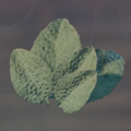 Thumbnail for version as of 15:54, 6 February 2024