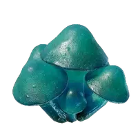 Azure Russula Seedling