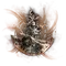 Elden-ring crimson-sapping-cracked-tear.webp