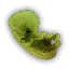 Endrega Embryo