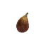 Ripened Fig