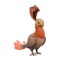 Flightless Redtail