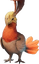 Flightless Redtail