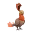 Flightless Redtail