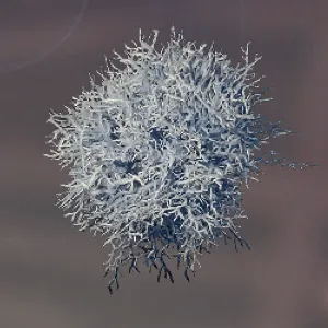 File:Enshrouded Mycelium.webp