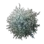 Mycelium