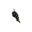 Dragon's Dogma 2 Rotten Grapes.webp
