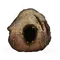 Elden-ring prattling-pate-wonderful.webp