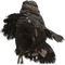 Elden-ring ragged-hat.webp