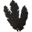Hagraven Feathers