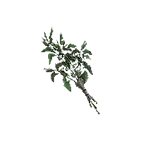 Pitywort