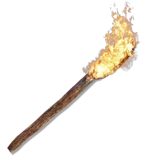 Torch