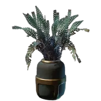 Small Aurora Beans Plant Pot