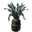 Small Aurora Beans Plant Pot