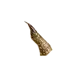 Dragon's Dogma 2 Slate-Colored Horn.webp