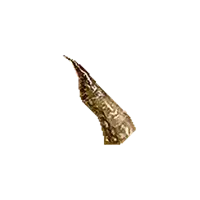 Slate-Colored Horn