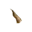 Slate-Colored Horn