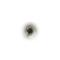 Elden-ring golden-rune-1.webp