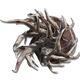 Spiralhorn Shield