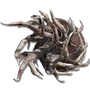 Elden-ring spiralhorn-shield.webp