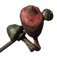Meat and Azure Russula Skewer