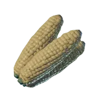 Corncob