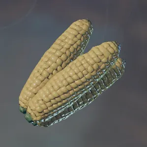 Corncob