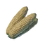 Corncob
