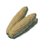 Corncob