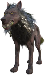 Scavenger Wolf