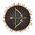 Dragon's Dogma 2 Keen Sight.webp