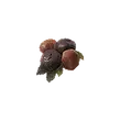 Dragon's Dogma 2 Ripened Cranberry.webp