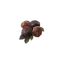 Ripened Cranberry