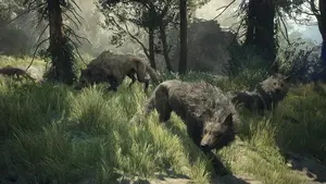 Wolf