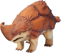 Dune Armadillo
