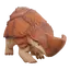 Dune Armadillo