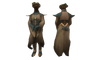Efflorescent Hope Set