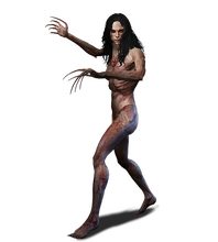 Bruxa