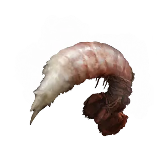 Boiled Prawn